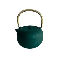 Чугунный заварочный чайник Харбин зеленый с золотой ручкой 300 мл