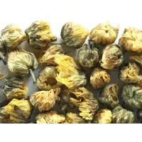 Цветки (бутоны) хризантемы 500 гр