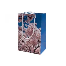 Пакет подарочный Сакура 23*15 см