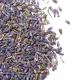 Лаванда, цветы 500 гр