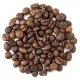 Кофе в зернах Робуста Вьетнам 250 гр