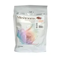 Маска для лица альгинатная с грибным комплексом Mushroom Modeling Mask 500 г