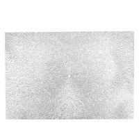 Салфетка сервировочная (плейсмат) Ajouré (серебро) 45*30 см