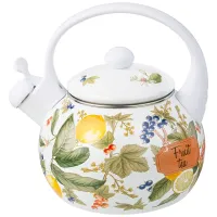 Чайник эмалированный со свистком, 2.2 л индукционное дно – Agness