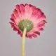Цветок искусственный Гербера, высота 61 см – Lefard
