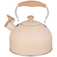 Чайник со свистком 2.5 л нжс индукция – Agness