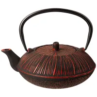 Чугунный заварочный чайник с эмалированным покрытием внутри 800 мл – Lefard