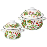 Набор кастрюль эмалированных серия Фруктовая корзина 4 предмета 1.5 л и 2.8 л, 16х10 см, 20х12 см – Agness