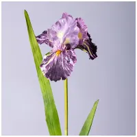 Цветок искусственный Ирис, высота 90 см – Lefard