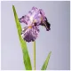 Цветок искусственный Ирис, высота 90 см – Lefard
