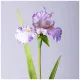 Цветок искусственный Ирис высота 90 см – Lefard