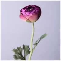 Цветок искусственный Ранункулюс, высота 50 см – Lefard