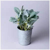 К композиция декоративная Каланхое, высота 23 см – Lefard