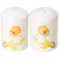 Набор для специй Sunday, 2 предмета, 4.5*6.5 см – Agness