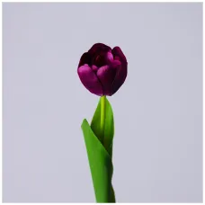 Цветок искусственный тюльпан длина=44см, цвет фиалковый - Lefard