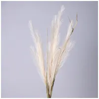 Цветок искусственный Помпасная трава, цвет кремовый – Lefard