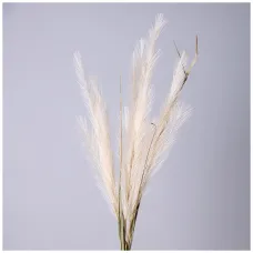 Цветок искусственный помпасная трава, цвет кремовый - Lefard