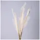 Цветок искусственный Помпасная трава, цвет кремовый – Lefard