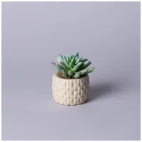 Суккулент искусственный в горшке 10*10.5 см – Lefard