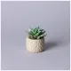 Суккулент искусственный в горшке 10*10.5 см – Lefard