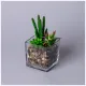 Суккулент искусственный в прозрачном горшке 11*17 см – Lefard