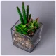 Суккулент искусственный в прозрачном горшке 11*17 см – Lefard