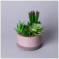 Суккулент искусственный в горшке 16x17 см – Lefard