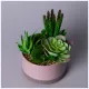 Суккулент искусственный в горшке 16x17 см – Lefard