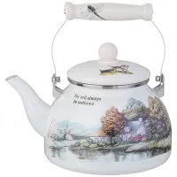 Чайник эмалированный серия Family House 2,6 л - Agness