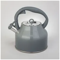 Чайник со свистком 2.8 л - Agness