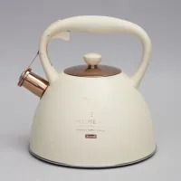 Чайник со свистком, 3 л термоаккумулирующее дно, индукция - Agness