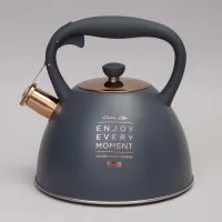 Чайник со свистком, 3 л термоаккумулирующее дно, индукция - Agness