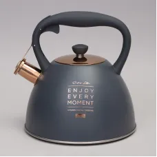 Чайник со свистком, 3 л термоаккумулирующее дно, индукция - Agness