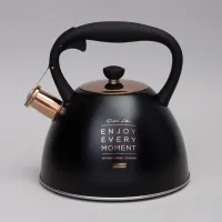 Чайник со свистком, 3 л термоаккумулирующее дно, индукция - Agness