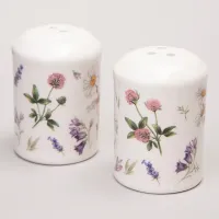 Набор для специй Flower Story 2 предмета 4,5*6,5 см - Agness