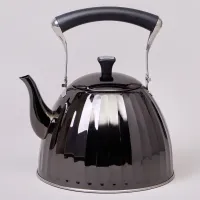 Чайник 3 л со складывающейся ручкой, индукционное капсульное дно – Agness