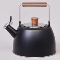 Чайник 3 л со свистком и складывающейся ручкой, индукционное капсульное дно - Agness