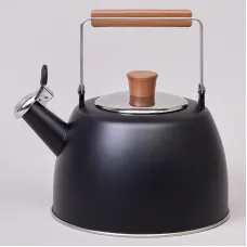 Чайник 3 л со свистком и складывающейся ручкой, индукционное капсульное дно - Agness
