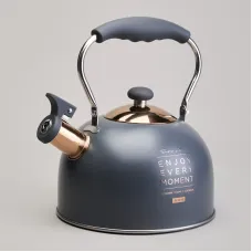 Чайник со свистком 2.5 л, нжс индукция – Agness