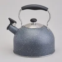 Чайник со свистком 2,5 л, складывающаяся ручка, индукцион. дно - Agness