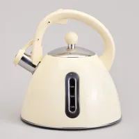 Чайник со свистком и мерной шкалой, 3.2 л – Agness