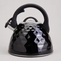 Чайник со свистком, 3.3 л – Agness