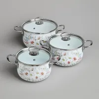 Набор кастрюль эмалированных серия Дворцовый парк 6 предметов 2/2.8/3.6 л, 18х11/20х12/22х13 см - Agness