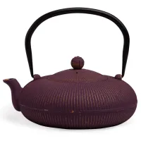 Заварочный чайник чугунный с эмалированным покрытием внутри 1.2 л – Lefard