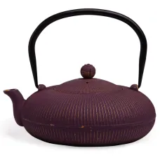 Заварочный чайник чугунный с эмалированным покрытием внутри 1.2 л – Lefard