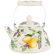 Чайник эмалированный, серия Секретные ингредиенты 3 л - Agness