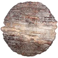 Блюдо Crown Brown 30 см - АКСАМ 4 штуки