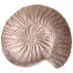 Блюдо snail sand 25 см - Bronco