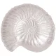 Блюдо snail pearl 25 см - Bronco