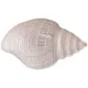 Блюдо shell pearl 30 см - Bronco